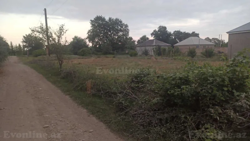 Satılır Torpaq 204 sot Xaçmaz