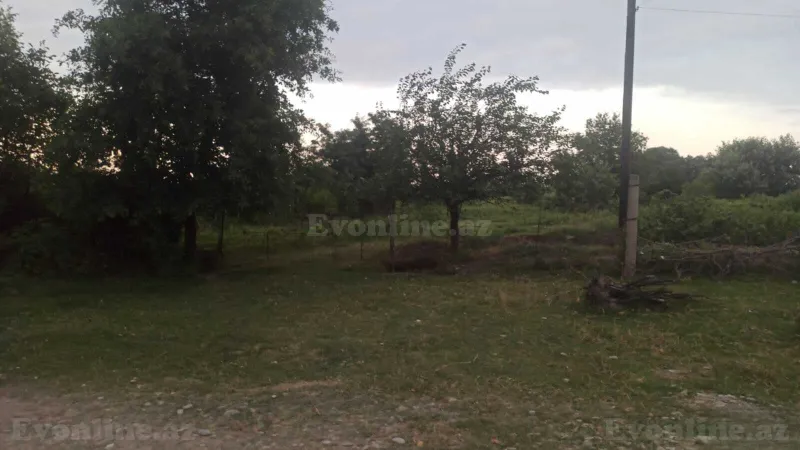 Satılır Torpaq 204 sot Xaçmaz - şəkil 2