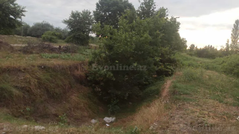 Satılır Torpaq 204 sot Xaçmaz - şəkil 3