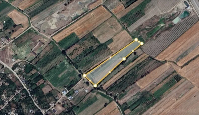 Satılır Torpaq 204 sot Xaçmaz - şəkil 4