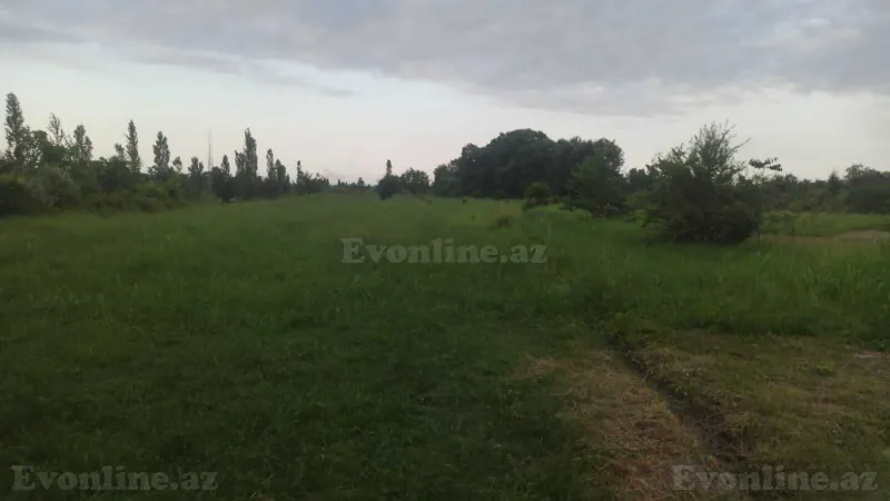 Satılır Torpaq 204 sot Xaçmaz - şəkil 5