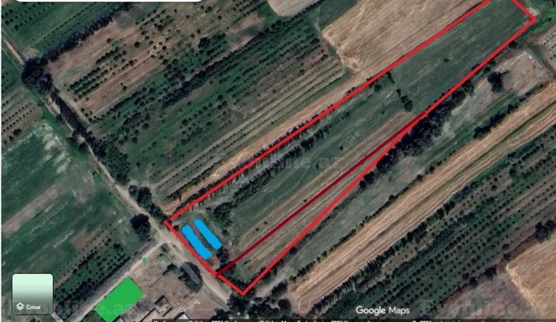 Satılır Torpaq 204 sot Xaçmaz - şəkil 9