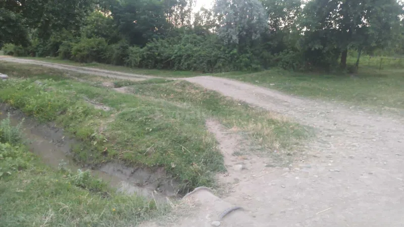 Satılır Torpaq 204 sot Xaçmaz - şəkil 11
