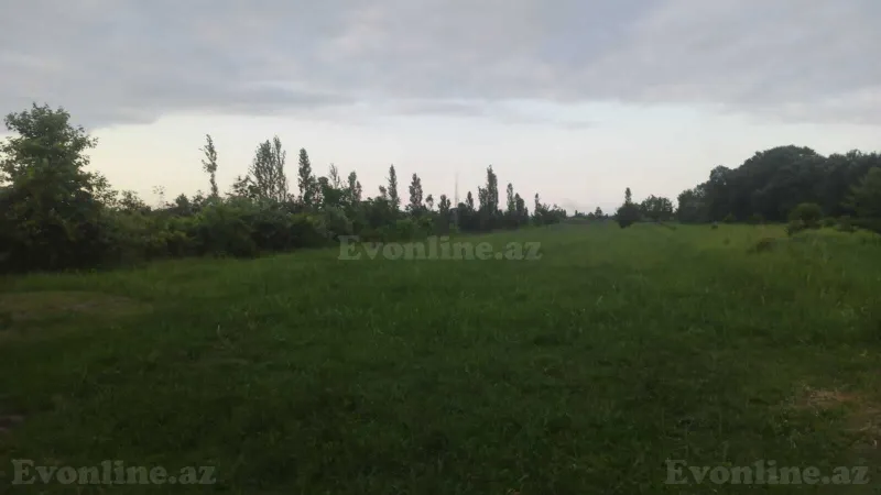 Satılır Torpaq 204 sot Xaçmaz - şəkil 12