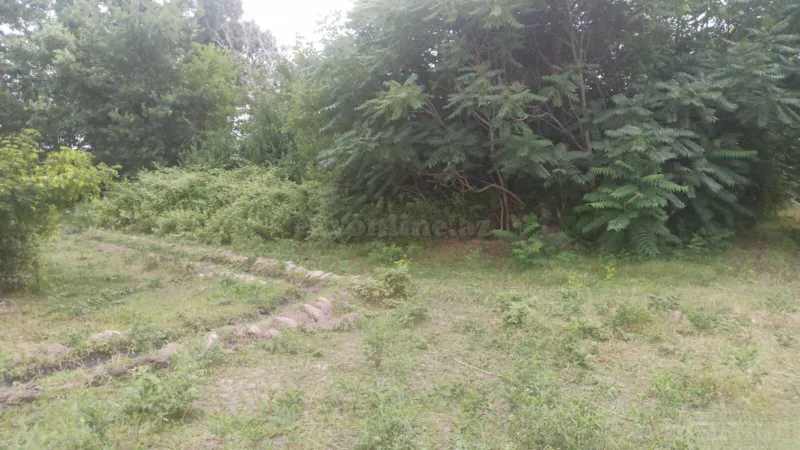 Satılır Torpaq 204 sot Xaçmaz - şəkil 13
