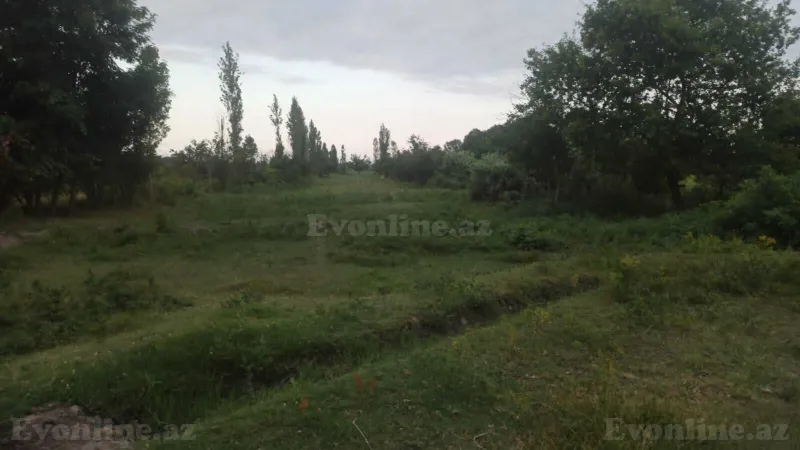 Satılır Torpaq 204 sot Xaçmaz - şəkil 14
