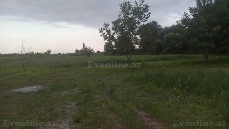 Satılır Torpaq 204 sot Xaçmaz - şəkil 15
