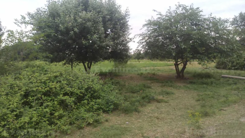 Satılır Torpaq 204 sot Xaçmaz - şəkil 16