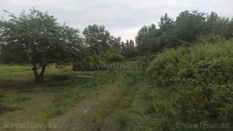 Satılır Torpaq 204 sot Xaçmaz - şəkil 18