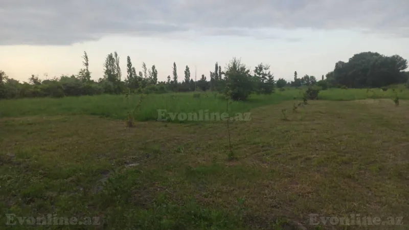 Satılır Torpaq 204 sot Xaçmaz - şəkil 19