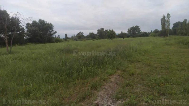 Satılır Torpaq 204 sot Xaçmaz - şəkil 22