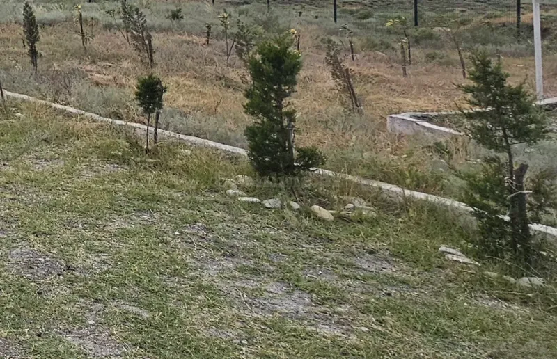 Satılır Torpaq 2 sot Ramana - şəkil 2