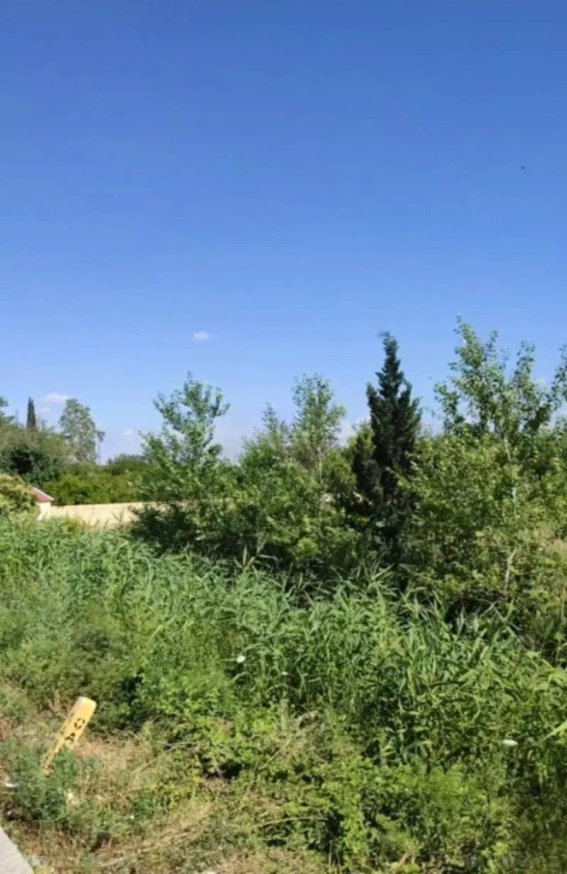 Satılır Torpaq 40 sot Ucar