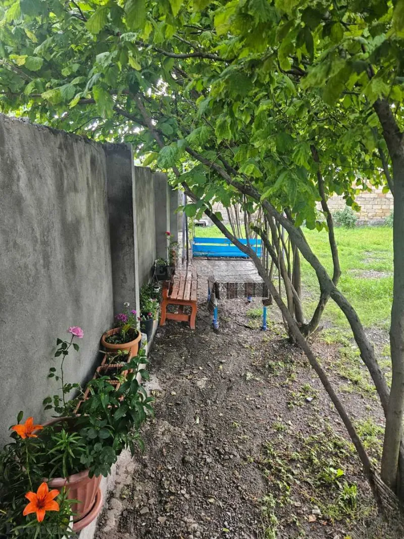 Kirayə verilir 4 otaqlı Həyət evi 200 m² Qax - şəkil 2