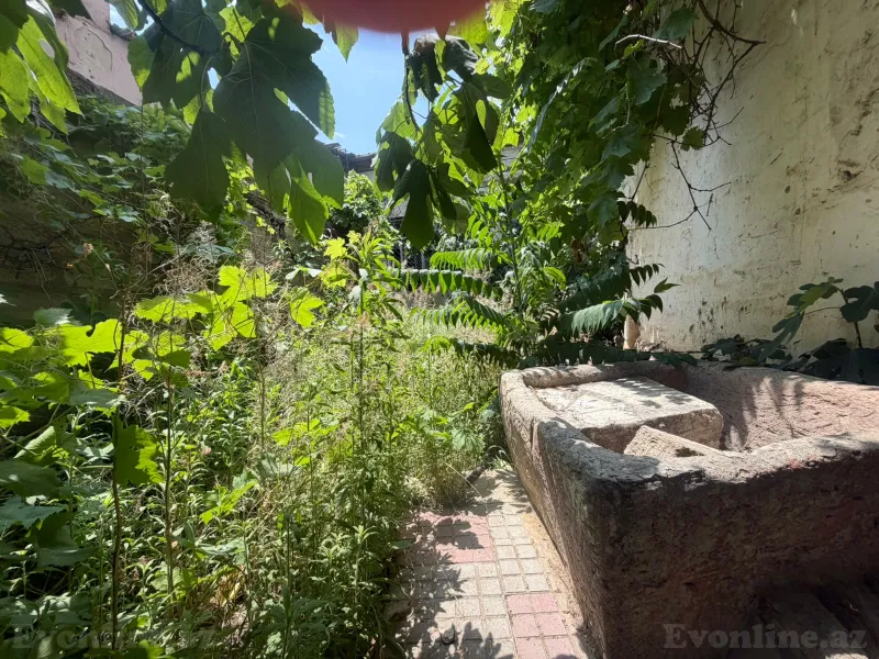 Satılır Torpaq 5 sot Qaraçuxur - şəkil 12
