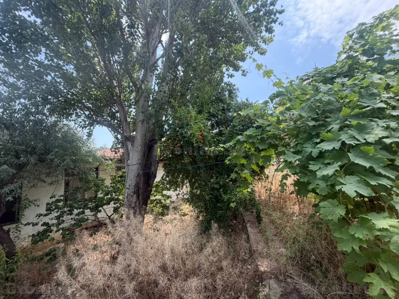 Satılır Torpaq 5 sot Qaraçuxur - şəkil 14