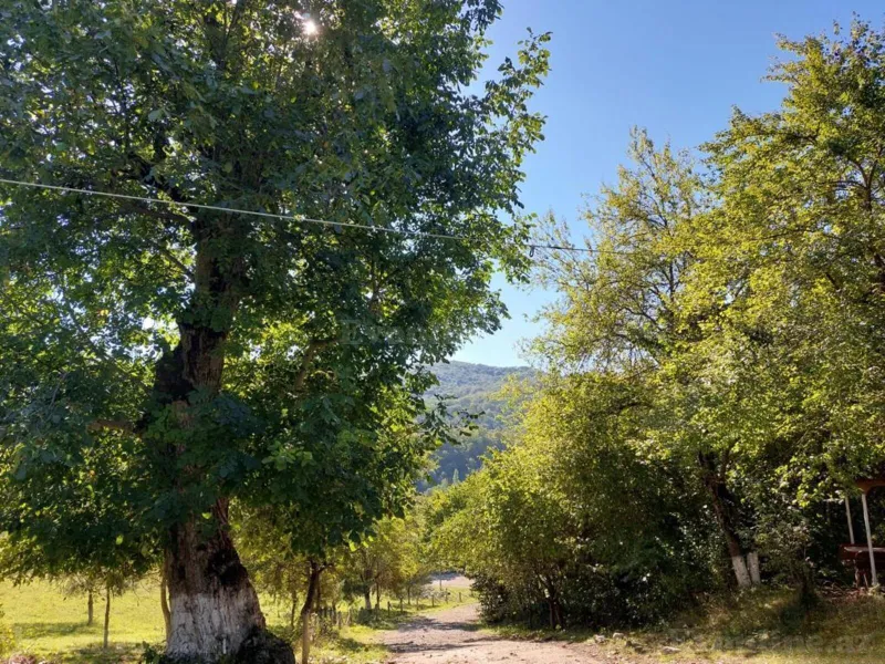 Satılır Obyekt 16000 m² Quba - şəkil 15
