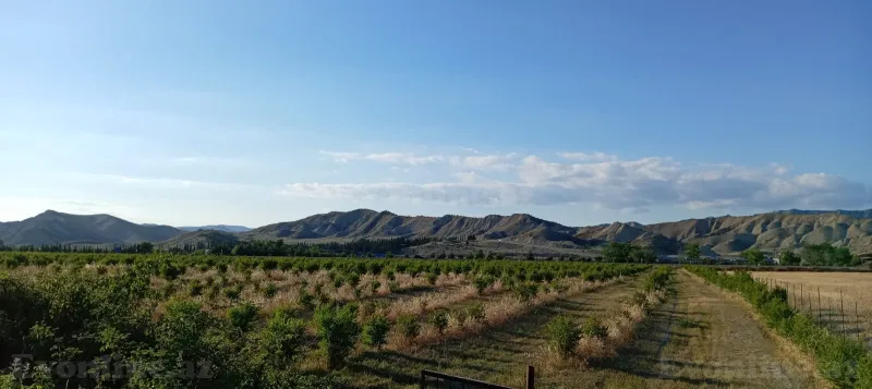 Satılır Torpaq 200 sot Göyçay - şəkil 9