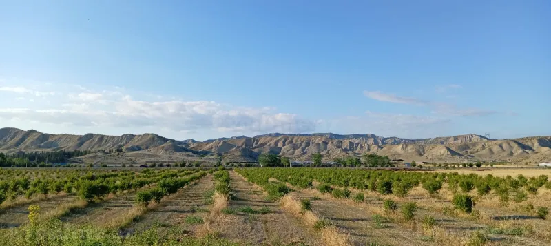 Satılır Torpaq 200 sot Göyçay - şəkil 13