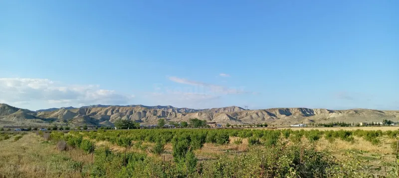 Satılır Torpaq 200 sot Göyçay - şəkil 14