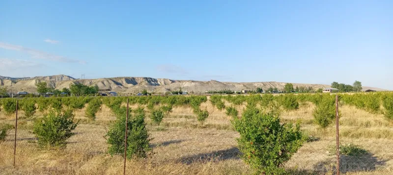 Satılır Torpaq 200 sot Göyçay - şəkil 16