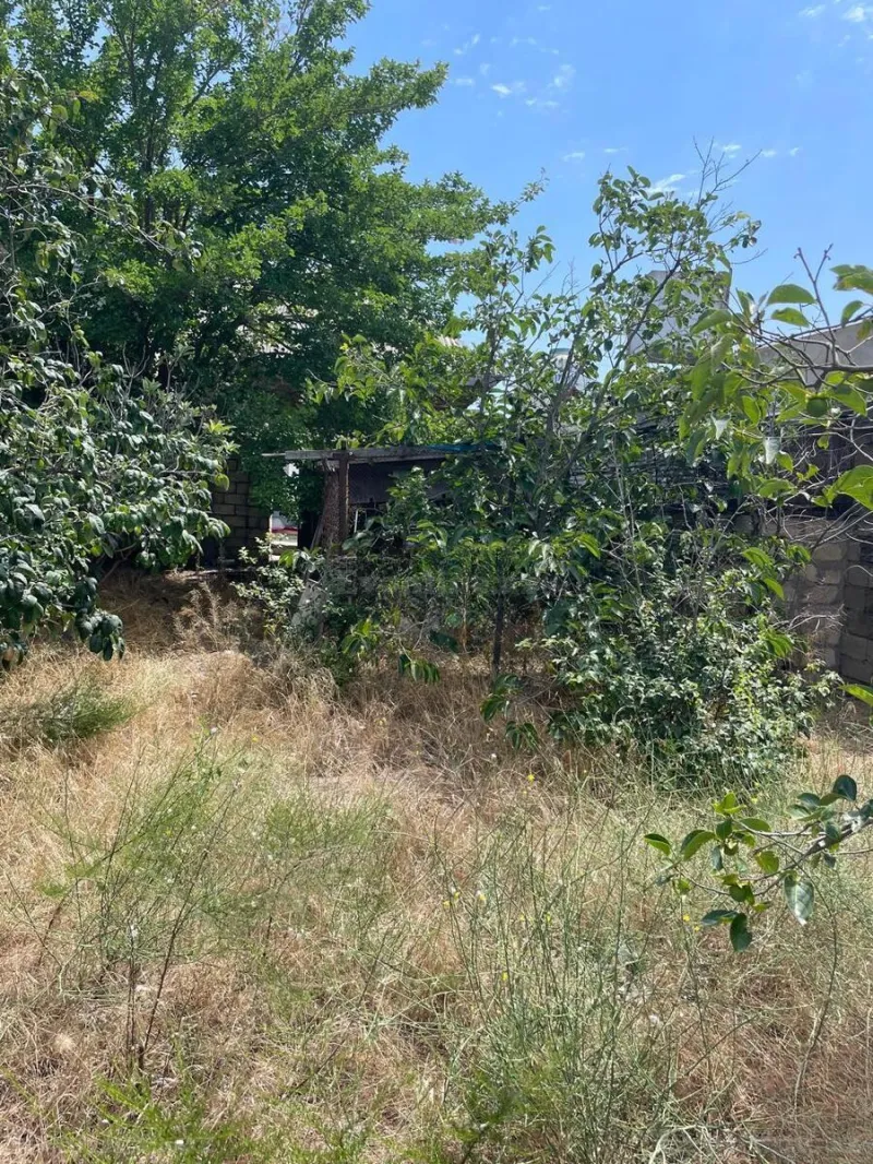 Torpaq Novxanı Satılır