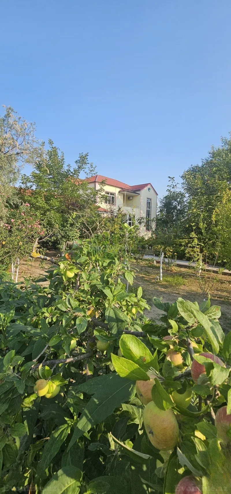 9 otaqlı Həyət evi 420 m² Nardaran Satılır