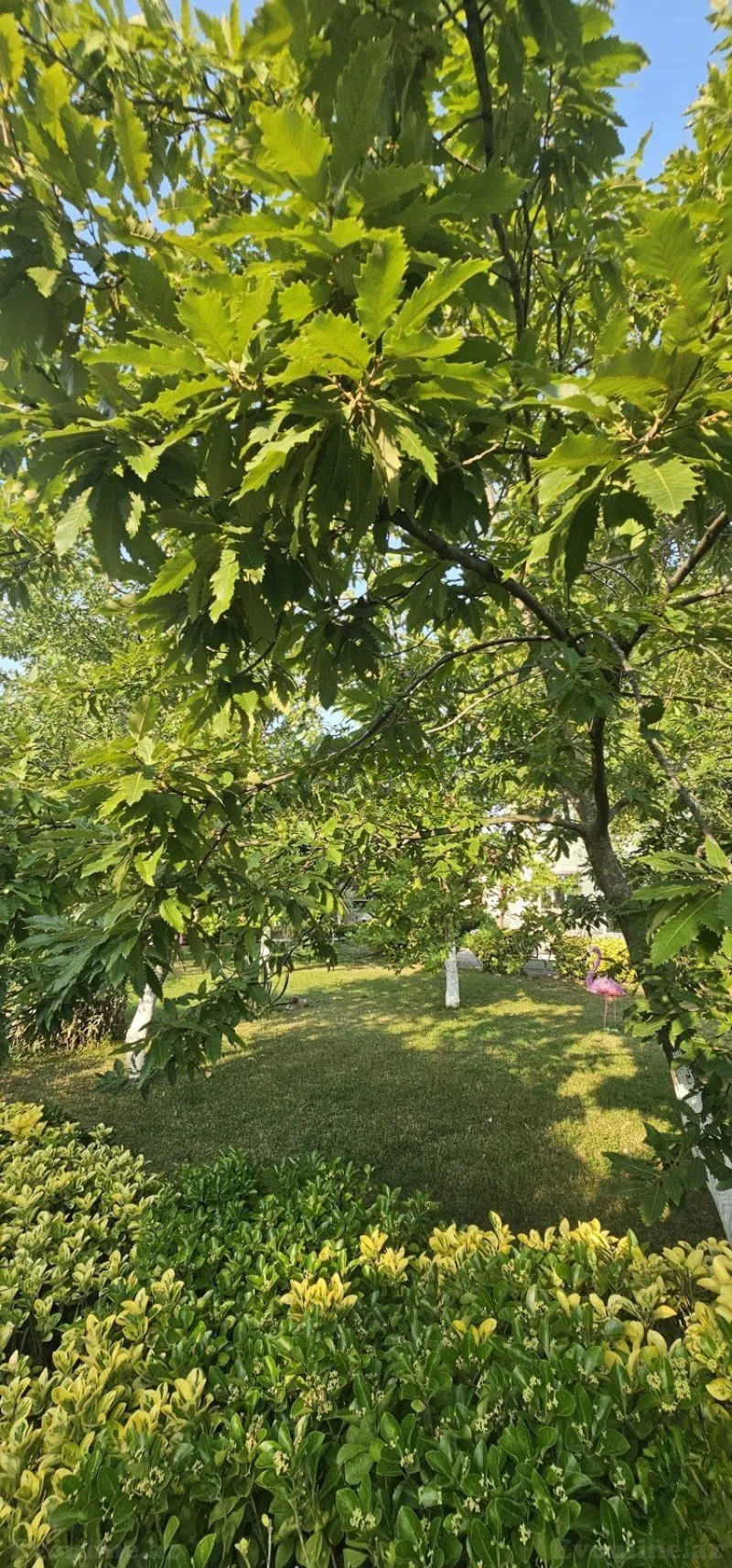 Satılır 9 otaqlı Həyət evi 420 m² Nardaran - şəkil 25