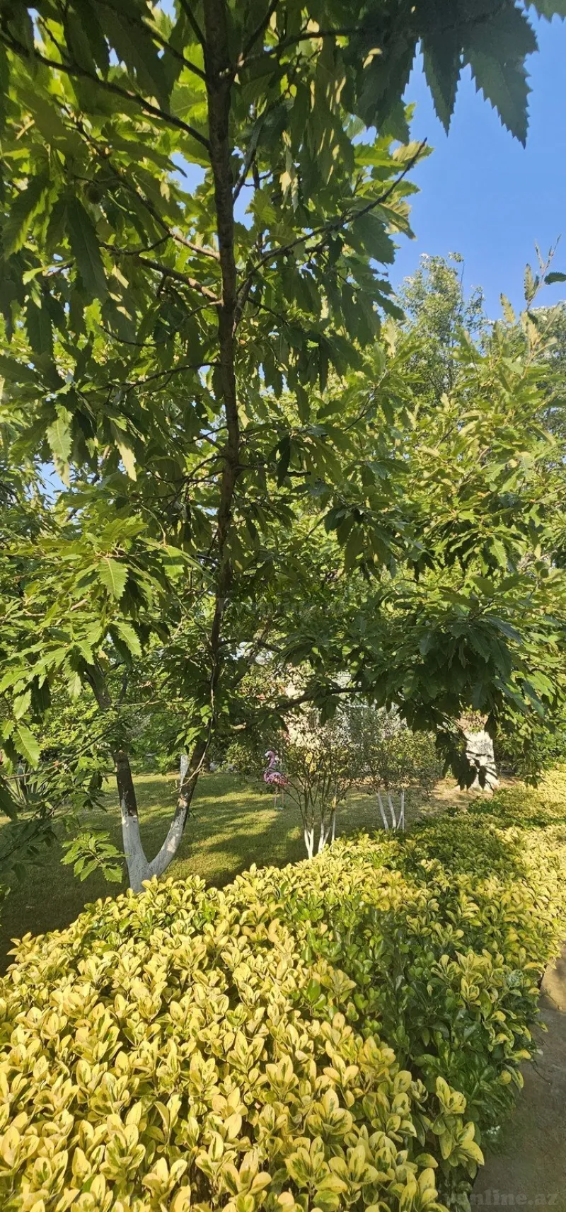Satılır 9 otaqlı Həyət evi 420 m² Nardaran - şəkil 29