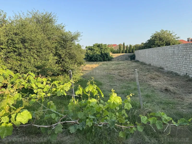 Torpaq Novxanı Satılır