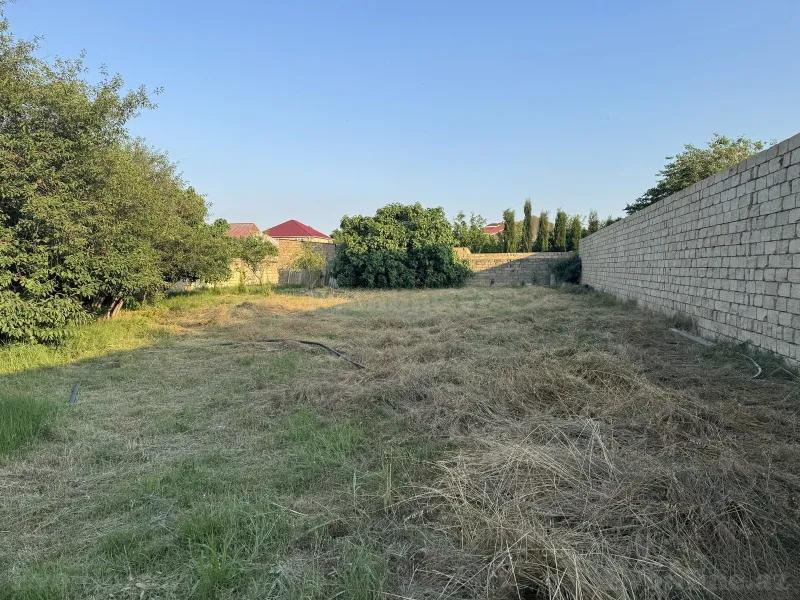 Satılır Torpaq 10 sot Novxanı - şəkil 3