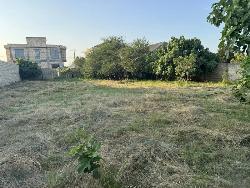 Satılır Torpaq 10 sot Novxanı - şəkil 4
