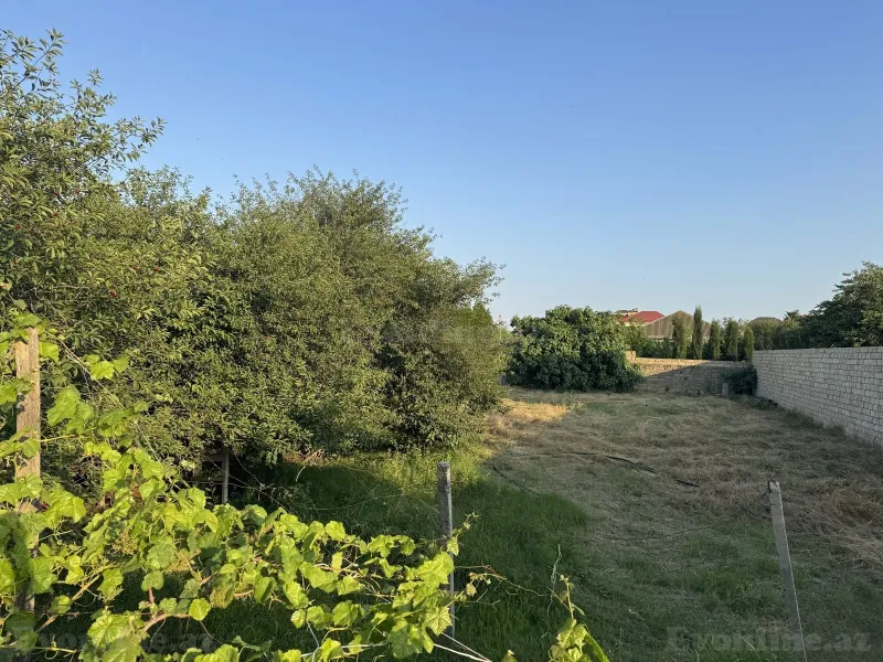 Satılır Torpaq 10 sot Novxanı - şəkil 7