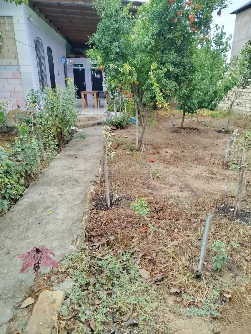 Kirayə verilir 3 otaqlı Həyət evi 110 m² Bilgəh - şəkil 8