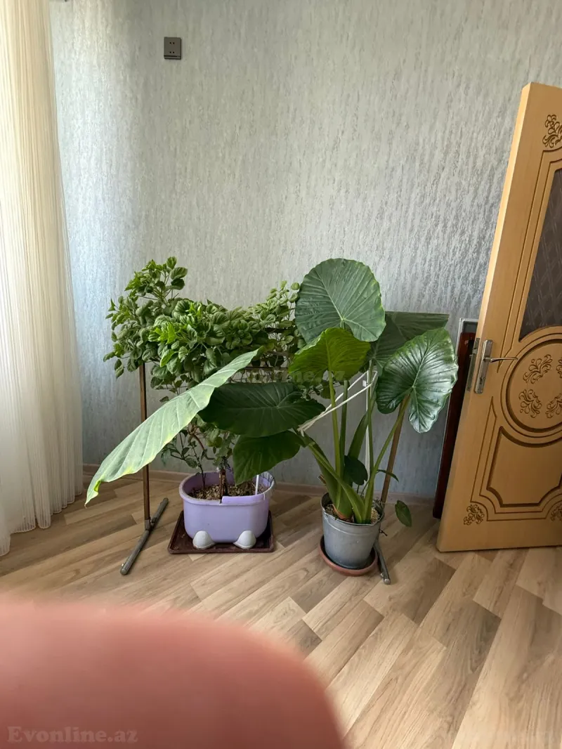 Satılır 3 otaqlı Mənzil Yeni tikili 106 m² Masazır - şəkil 5