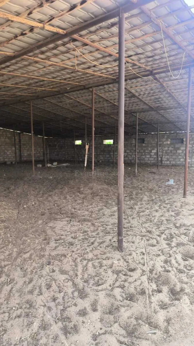 Satılır Torpaq 30 sot Qala - şəkil 4