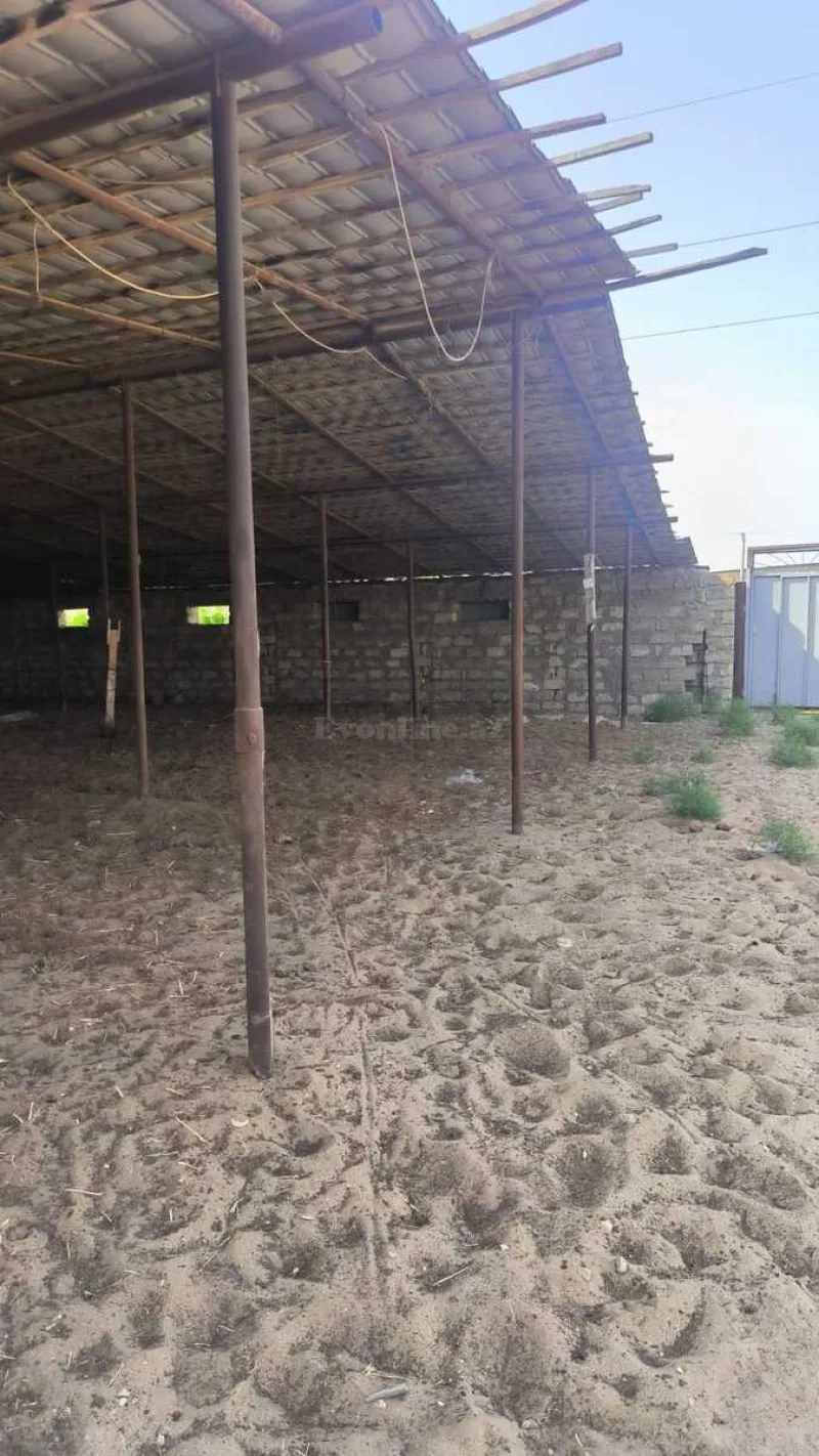 Satılır Torpaq 30 sot Qala - şəkil 5