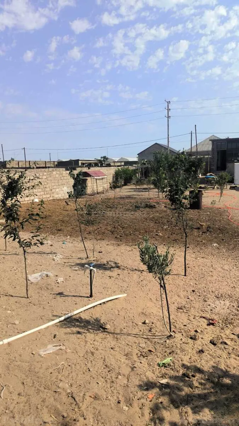 Satılır Torpaq 30 sot Qala - şəkil 7