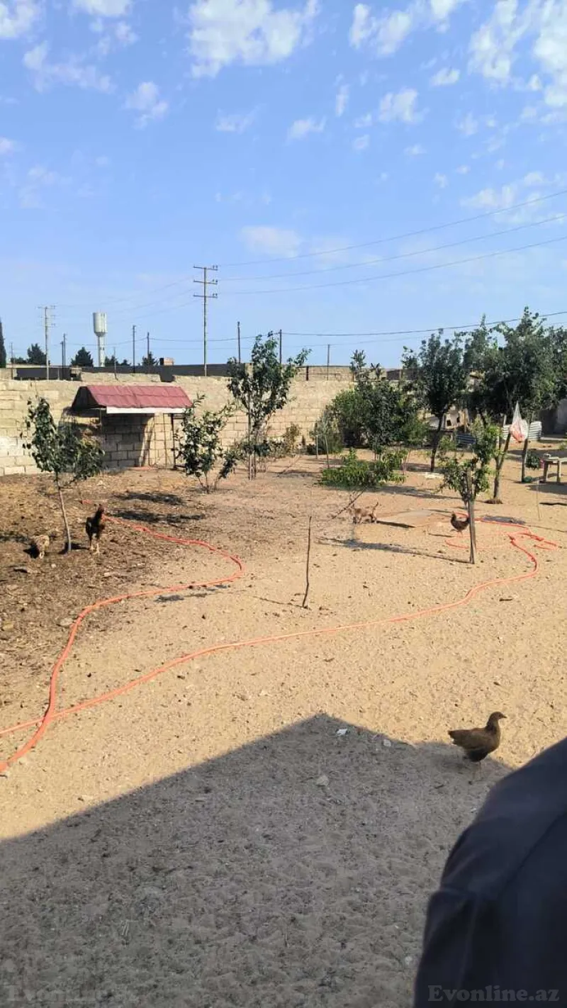 Satılır Torpaq 30 sot Qala - şəkil 8