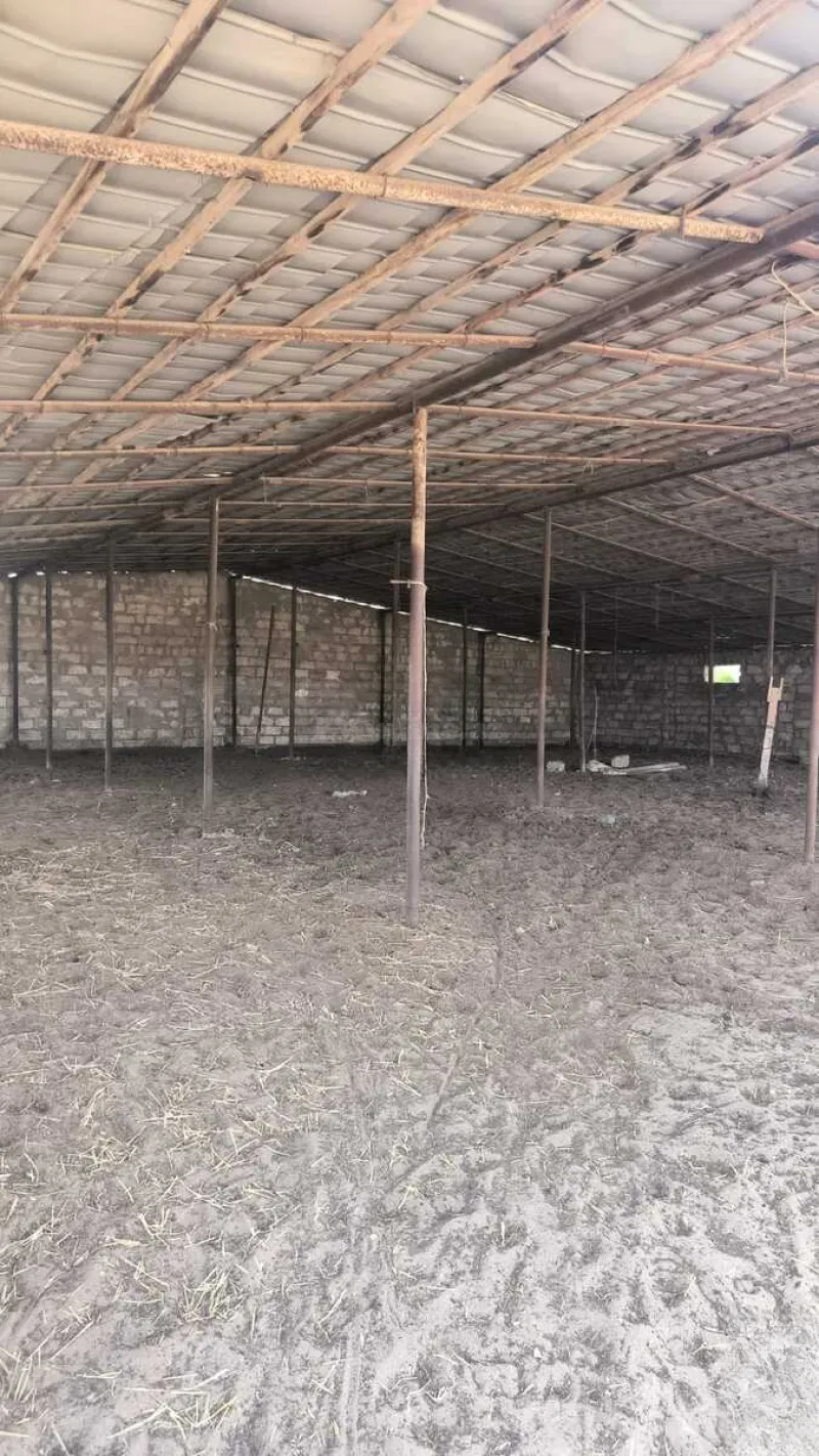 Satılır Torpaq 30 sot Qala - şəkil 14