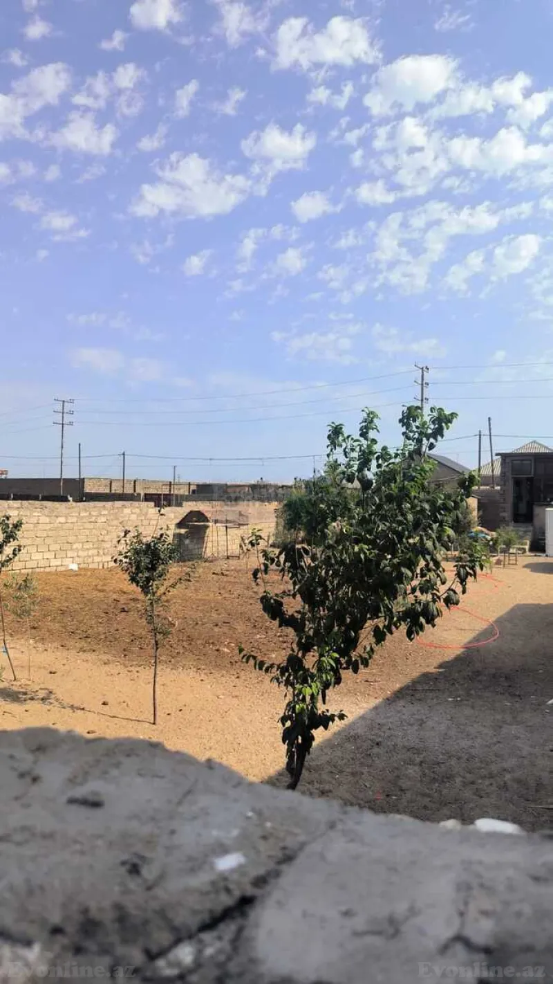 Satılır Torpaq 30 sot Qala - şəkil 16