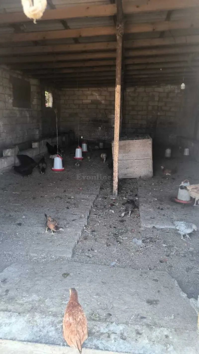 Satılır Torpaq 30 sot Qala - şəkil 17