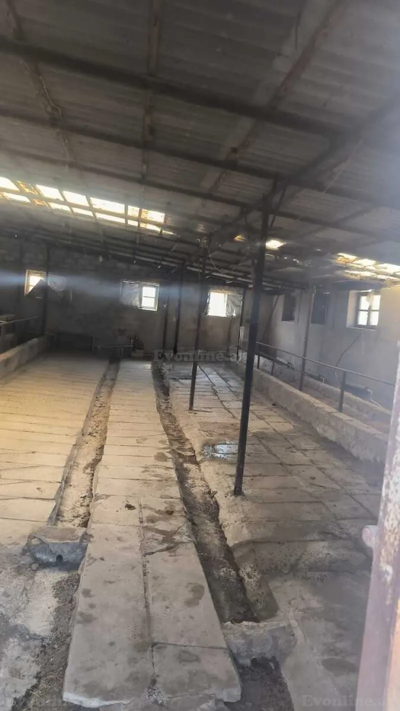 Satılır Torpaq 30 sot Qala - şəkil 18