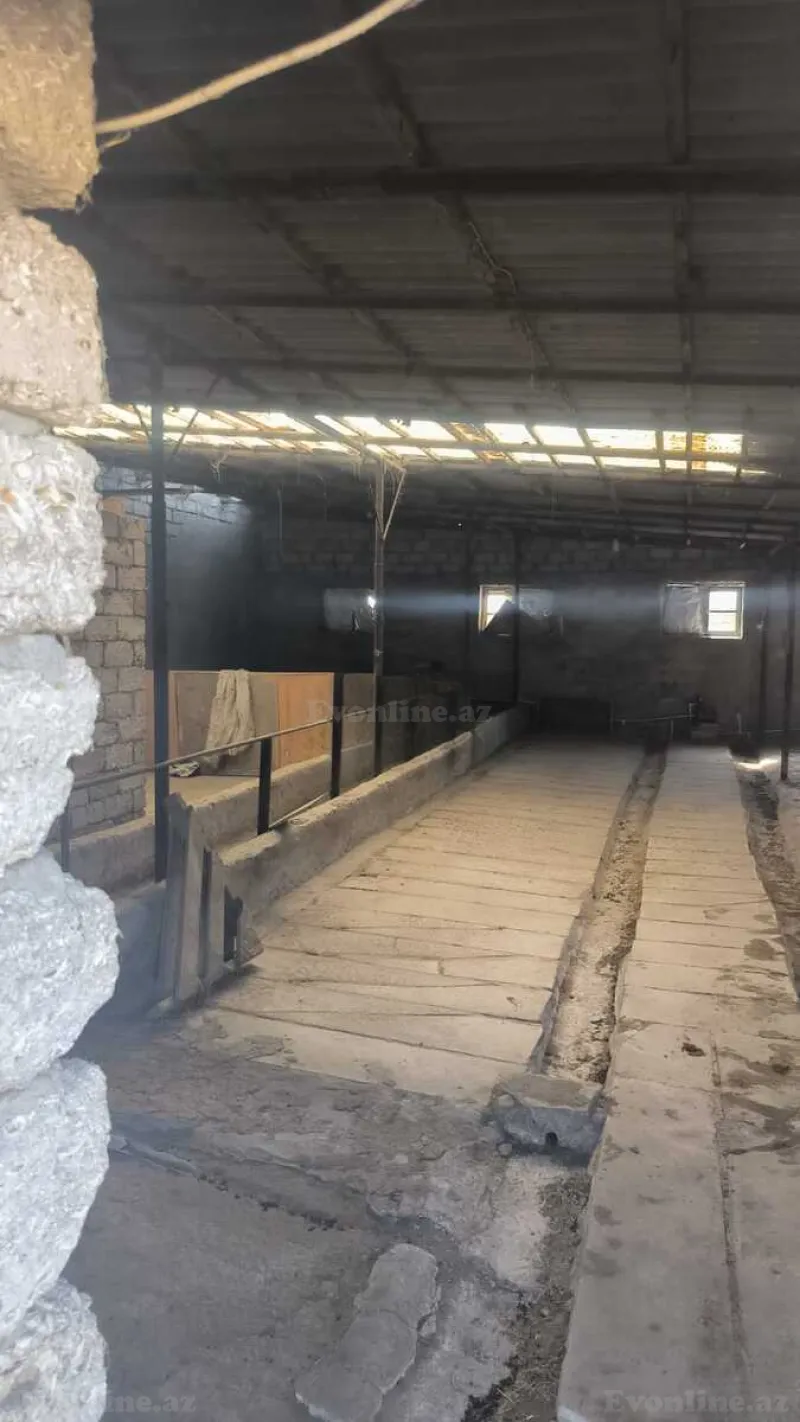 Satılır Torpaq 30 sot Qala - şəkil 19