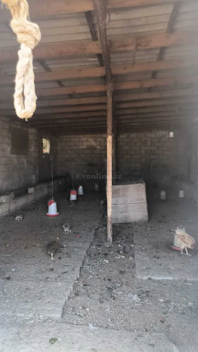 Satılır Torpaq 30 sot Qala - şəkil 20