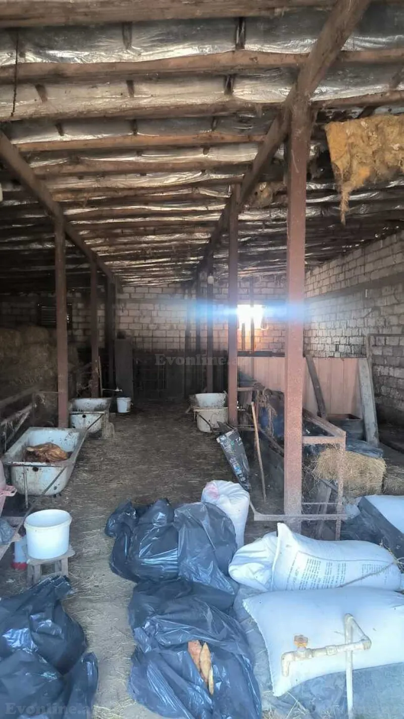Satılır Torpaq 30 sot Qala - şəkil 23