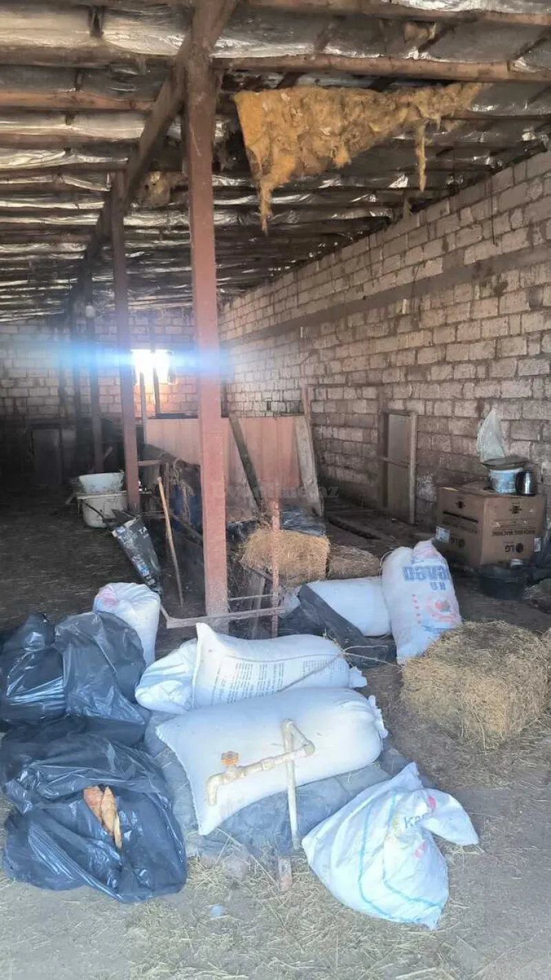 Satılır Torpaq 30 sot Qala - şəkil 24