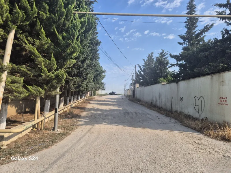 Satılır Torpaq 2 sot Şağan - şəkil 3
