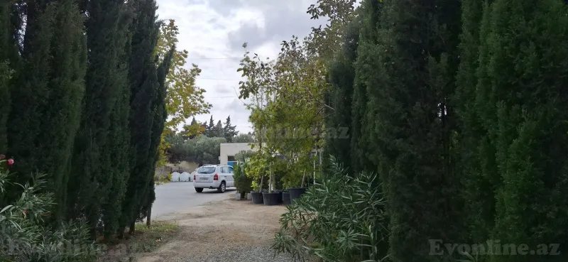 Kirayə verilir 2 otaqlı Mənzil Köhnə tikili 85 m² Buzovna - şəkil 3