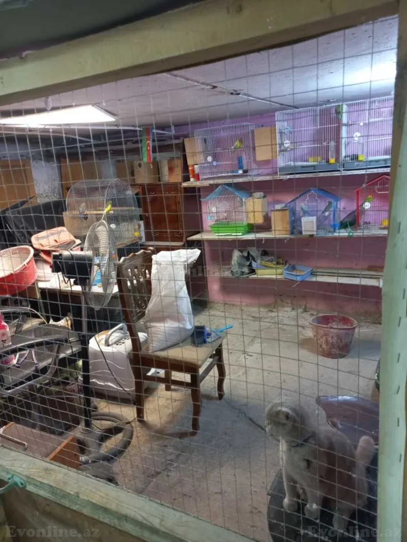 Satılır 3 otaqlı Mənzil Köhnə tikili 76 m² Sumqayıt - şəkil 23